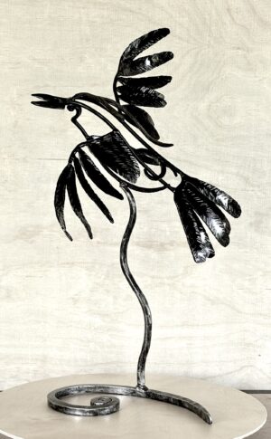 Hawaiian Crow in Flight