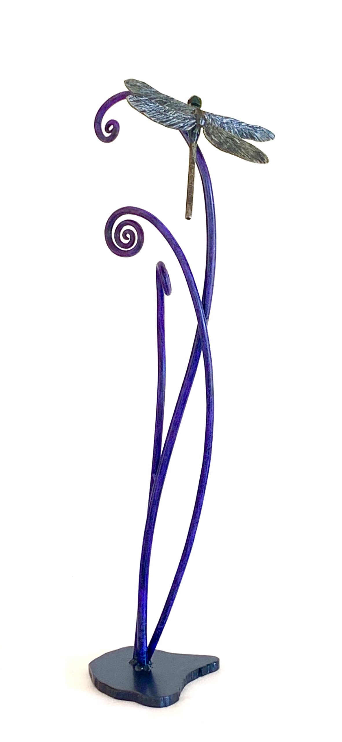 Dragonfly on Fiddlehead Metal Sculpture